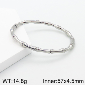 Stainless Steel Bangle  5BA201119bbml-689