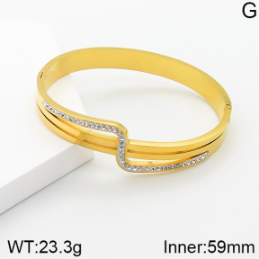 Stainless Steel Bangle  5BA401537vbnb-689