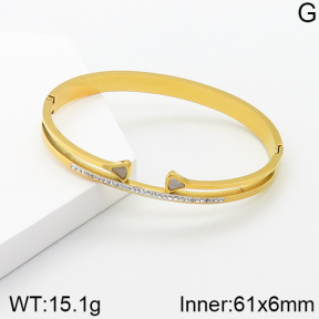 Stainless Steel Bangle  5BA401538bbml-689