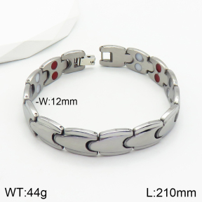 Stainless Steel Bracelet  2B2002316ahlv-244