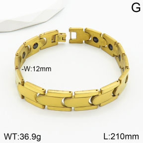 Stainless Steel Bracelet  2B2002322vhov-244