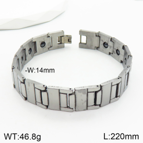 Stainless Steel Bracelet  2B2002326ahlv-244