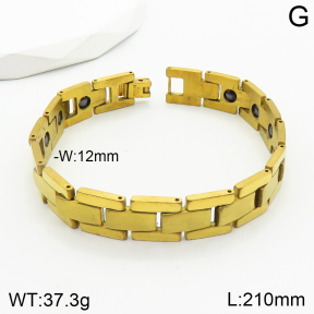 Stainless Steel Bracelet  2B2002328vhov-244