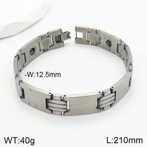 Stainless Steel Bracelet  2B2002334ahlv-244