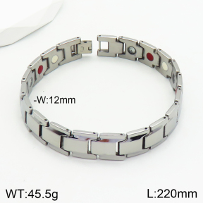 Stainless Steel Bracelet  2B2002335ahlv-244