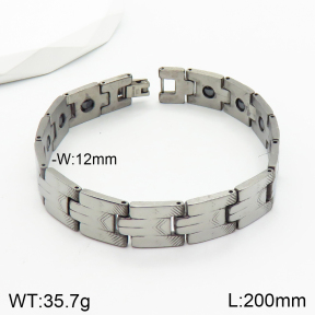 Stainless Steel Bracelet  2B2002337ahlv-244