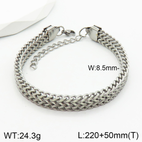 Stainless Steel Bracelet  2B2002340bhva-244