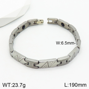 Stainless Steel Bracelet  2B2002341ahlv-244