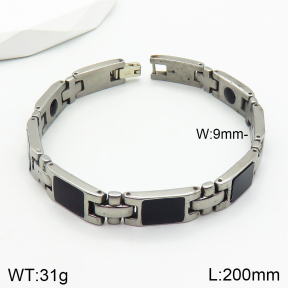 Stainless Steel Bracelet  2B4002818ahlv-244