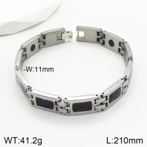 Stainless Steel Bracelet  2B4002821vhov-244