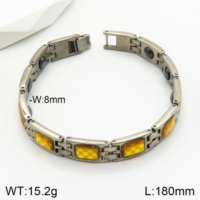 Stainless Steel Bracelet  2B4002824vhov-244