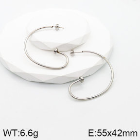 Stainless Steel Earrings  5E2003187vbnb-317