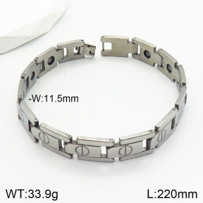 SS Bracelet  TB2000482ahlv-244