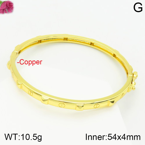 Fashion Copper Bangle  TZ2000208vhnv-J111