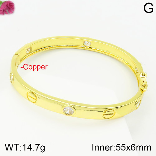 Fashion Copper Bangle  TZ2000209vhov-J111