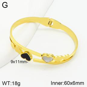 Stainless Steel Bangle  2BA401184vbnb-704