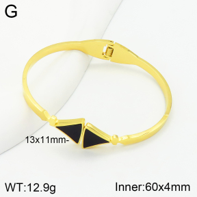 Stainless Steel Bangle  2BA401185vbnb-704