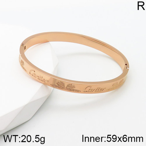 Cartier  Bangle  PZ0174644bbov-317