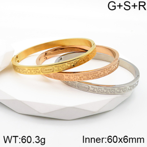 Cartier  Bangle  PZ0174696vila-312