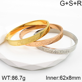 CK  Bangle  PZ0174701vila-312