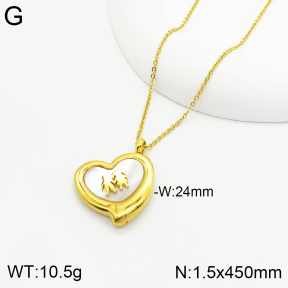 Stainless Steel Necklace  2N3001353bbov-611