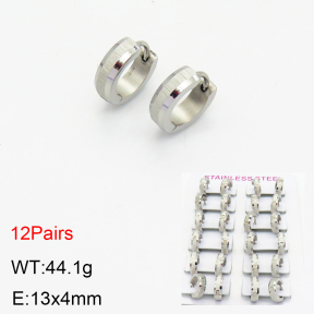 Stainless Steel Earrings  2E2002708akoa-387