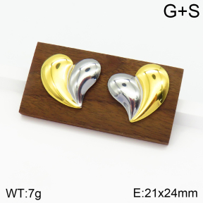 Stainless Steel Earrings  2E2002714vbnl-434