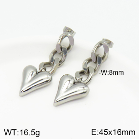 Stainless Steel Earrings  2E2002719vbnb-434