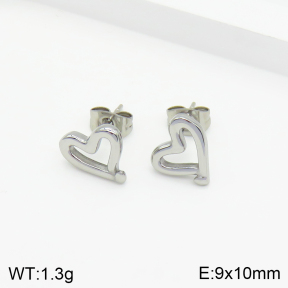 Stainless Steel Earrings  2E2002734bbpm-900