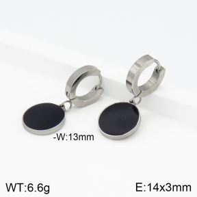 Stainless Steel Earrings  2E3001713avja-434