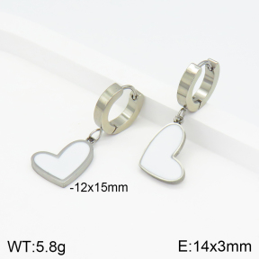 Stainless Steel Earrings  2E3001718avja-434