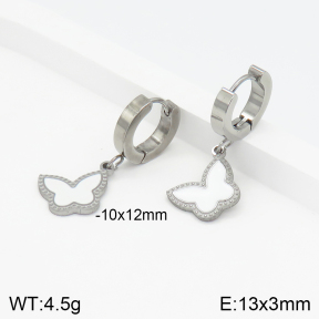 Stainless Steel Earrings  2E3001719avja-434