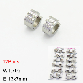 Stainless Steel Earrings  2E4002715akoa-387