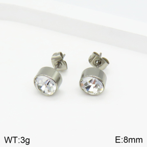 Stainless Steel Earrings  2E4002723aahl-434