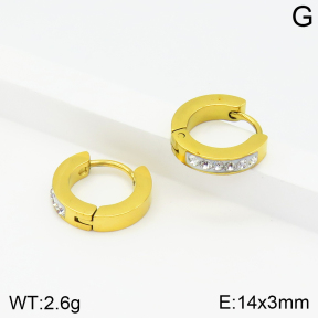 Stainless Steel Earrings  2E4002725aajl-434