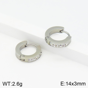 Stainless Steel Earrings  2E4002726avja-434