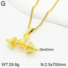 Stainless Steel Necklace  2N2003493ahjb-312