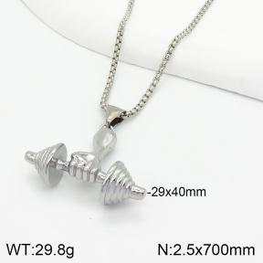 Stainless Steel Necklace  2N2003494vhha-312