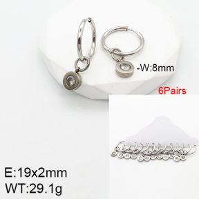Stainless Steel Earrings  5E4002654vhov-212