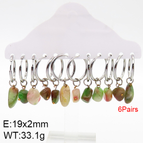 Stainless Steel Earrings  5E4002655vhov-212