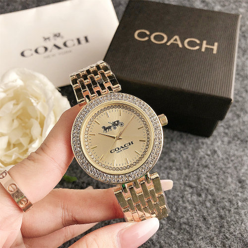 coach Watch  FM3621bika-XTZ