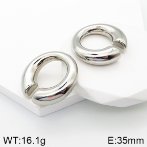 Stainless Steel Earrings  5E2003263bhva-649