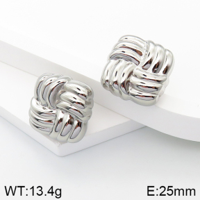 Stainless Steel Earrings  5E2003265vhha-649