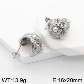Stainless Steel Earrings  5E3001352vhhl-649