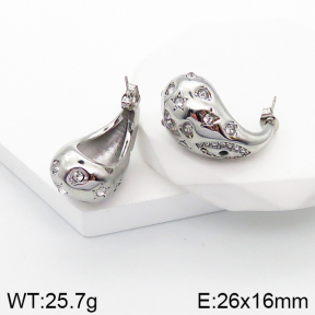 Stainless Steel Earrings  5E4002710vhkb-649