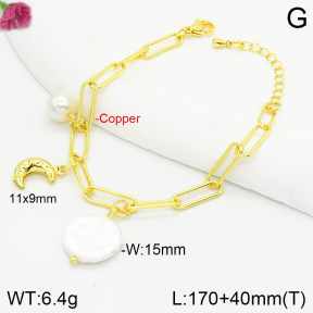 Fashion Copper Bracelet  F2B300530bbov-J123