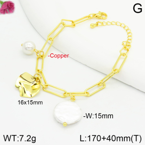 Fashion Copper Bracelet  F2B300531bbov-J123