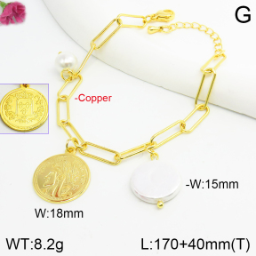 Fashion Copper Bracelet  F2B300534bbov-J123