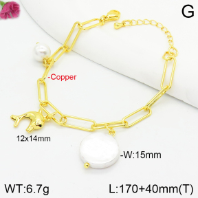 Fashion Copper Bracelet  F2B300540bbov-J123