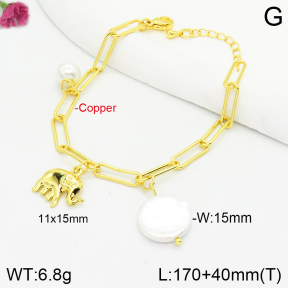 Fashion Copper Bracelet  F2B300542bbov-J123